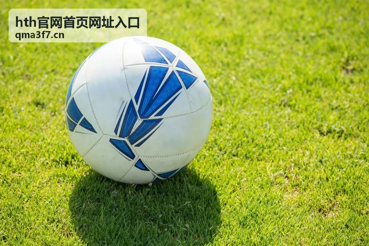hth官网首页网址入口访问路径说明配图