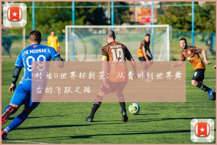 对话u世界杯新星:从青训到世界舞台的飞跃之路