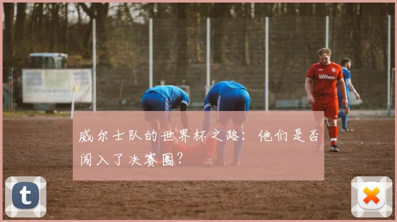 威尔士队的世界杯之路:他们是否闯入了决赛圈?