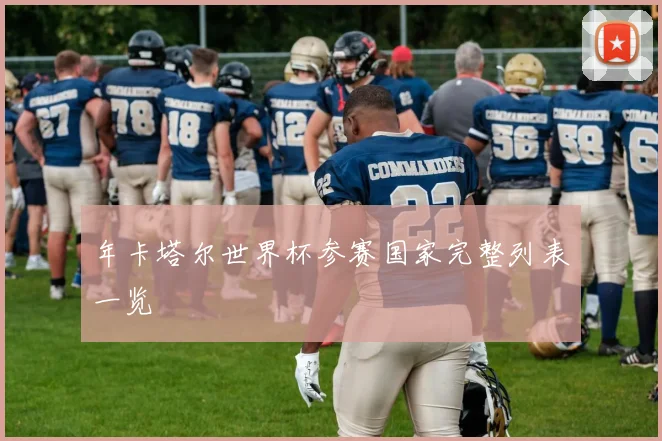 年卡塔尔世界杯参赛国家完整列表一览