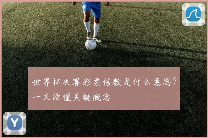世界杯决赛彩票倍数是什么意思？一文读懂关键概念