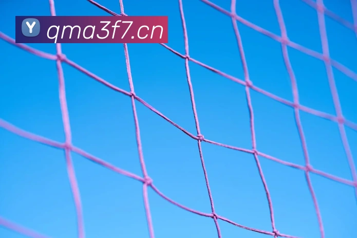 星空官方网站入口APP 体育赛事宣传图